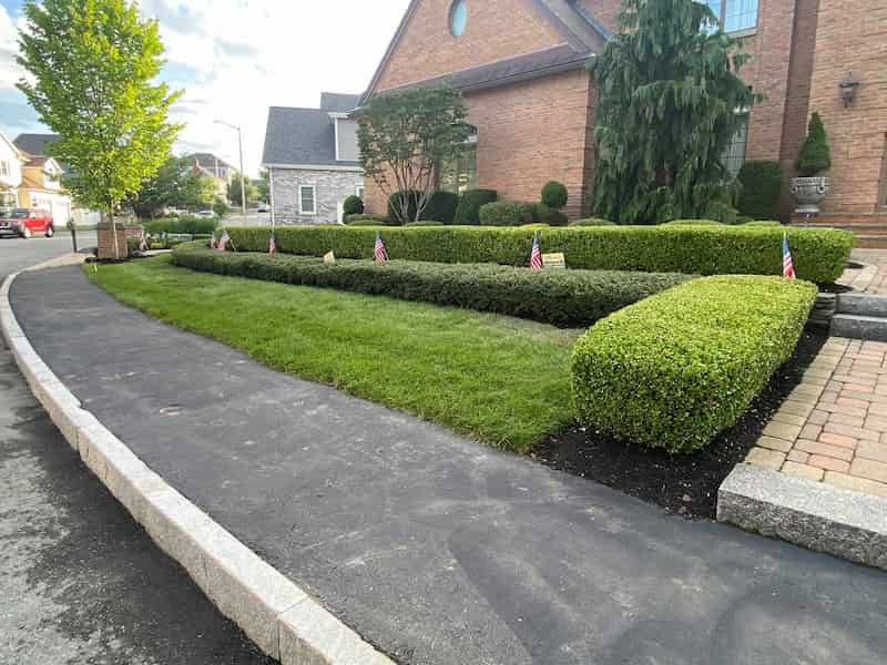 Tree Trimming on Rental Property