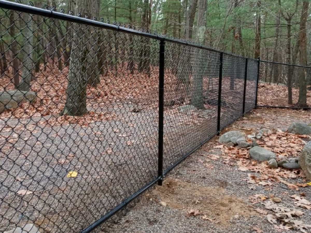 Chain Link Fence
