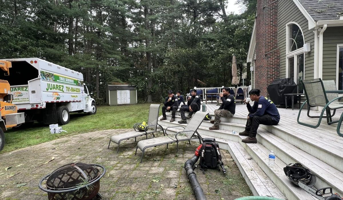 Storm-Ready Trees Preparing Your Peabody Property for New England Weather