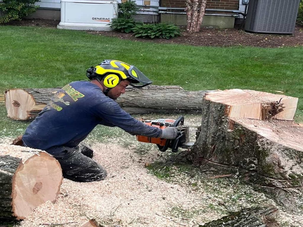 Stump Grinding